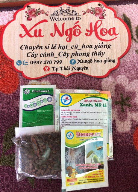 Combo bật chồi xanh lá dùng cho hoa hồng