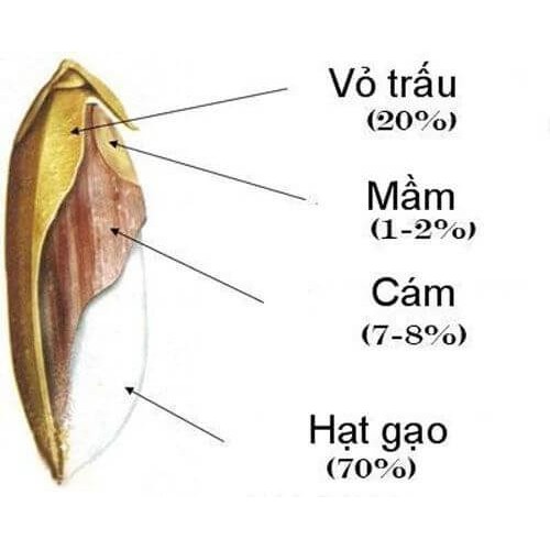 &lt;KÈM QUÀ HOT&gt; 100Gr Bột cám gạo sữa non nguyên chất Organic LOẠI 1 cao cấp, giúp da trắng sáng hơn, tẩy da chết...