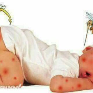 Đèn tinh dầu đuổi muỗi