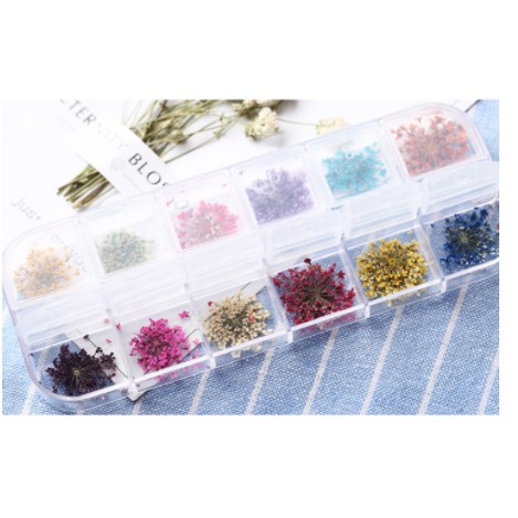 SET HOA KHÔ Nail CHÙM 12 MÀU