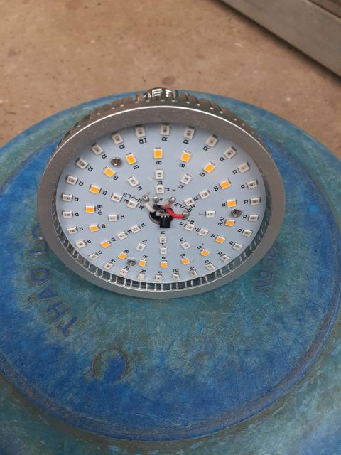 Bóng đèn led tròn trồng cây có điều khiển từ xa