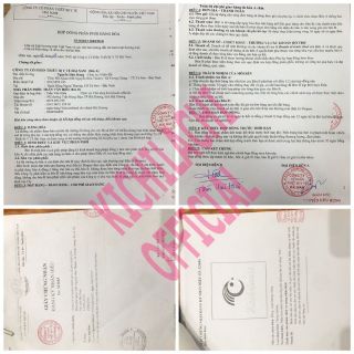 Combo 10 Túi Trữ Sữa Kichilachi 100ml