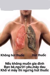 Cai thuốc Thuần mộc