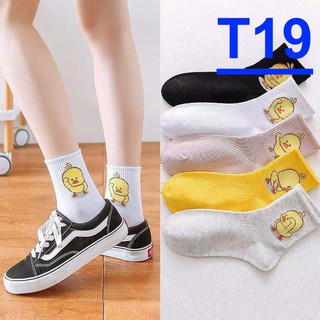 Set 10 Đôi Tất Nữ 20 Mẫu Style Korea