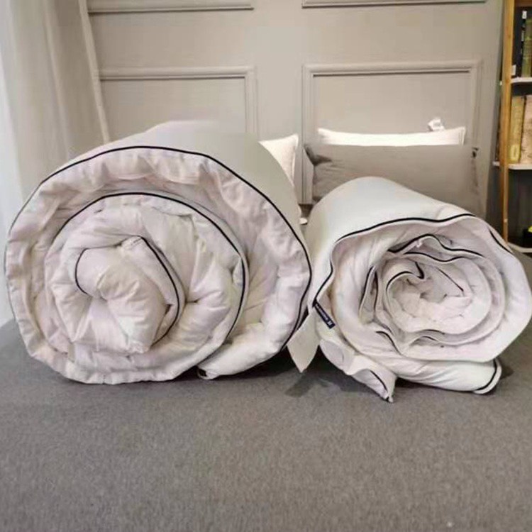 X4602 Ruột chăn bông thu đông mẹ và con cao cấp hàng nhập 200*230cm 5.5kg