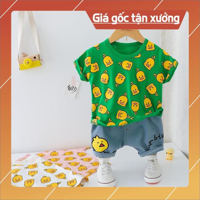 Quần áo trẻ em,đồ bộ em bé - Bộ hè bé trai sét con gà, cotton 4 c cao cấp size 6-15kg