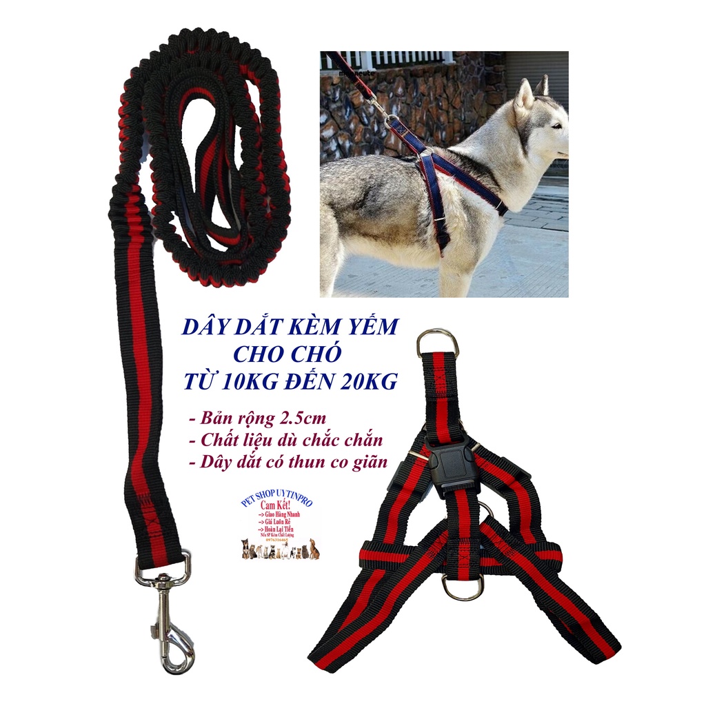 DÂY DẮT KÈM VÒNG CỔ DẠNG YẾM CHO Thú Cưng Chó Mèo từ 10kg đến 20kg Chất liệu dù và thun co giãn bản rộng 2.5cm Sọc đỏ