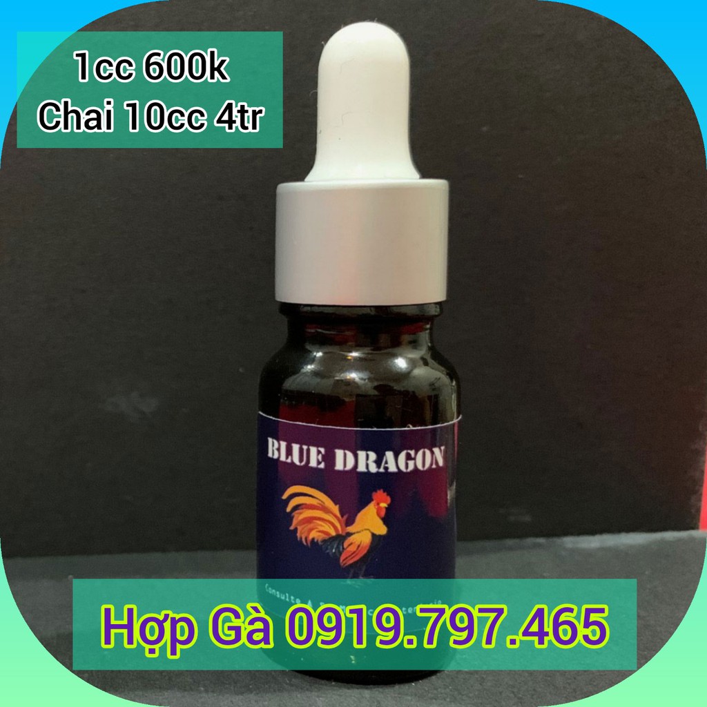 Blue Dragon (loại nhỏ gà đá) - tăng bo, tải cựa, lướt ói