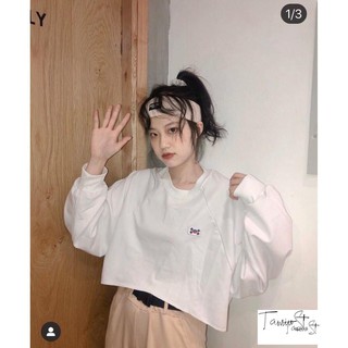 Áo thun nữ | Áo thun croptop tay dài
