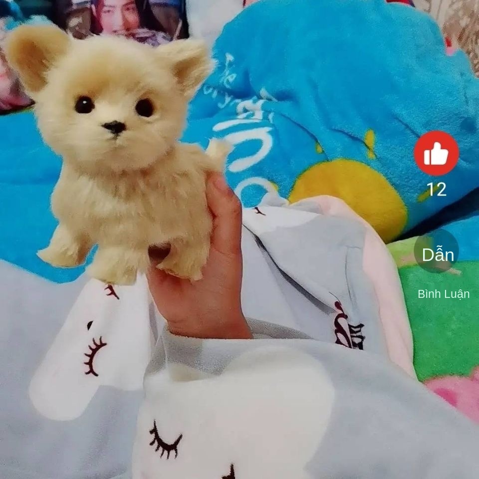 ♝◑✴Mô phỏng (không phải con chó thật) mini dễ thương siêu trang trí chihuahua nhà món quà thủ công