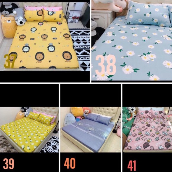 Set ga gối cotton poly