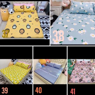 Set ga gối cotton poly