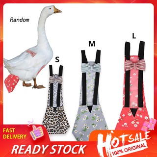 Tã Mặc Cho Gia Cầm Gà Vịt Tiện Lợi