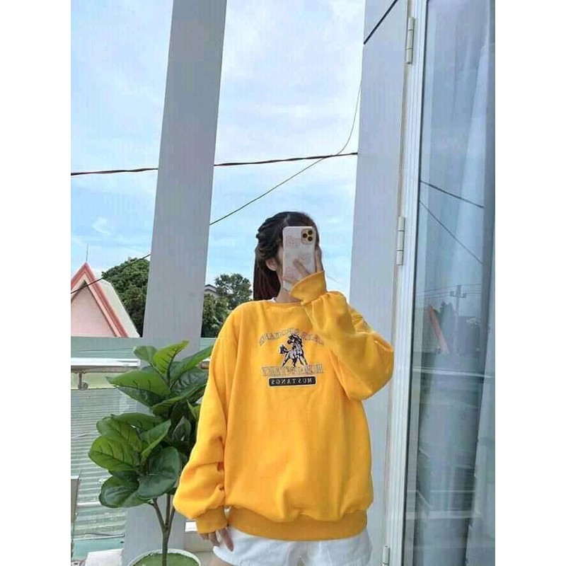 Áo swt con ngựa chất nỉ bông dày dặn HANA238 | BigBuy360 - bigbuy360.vn