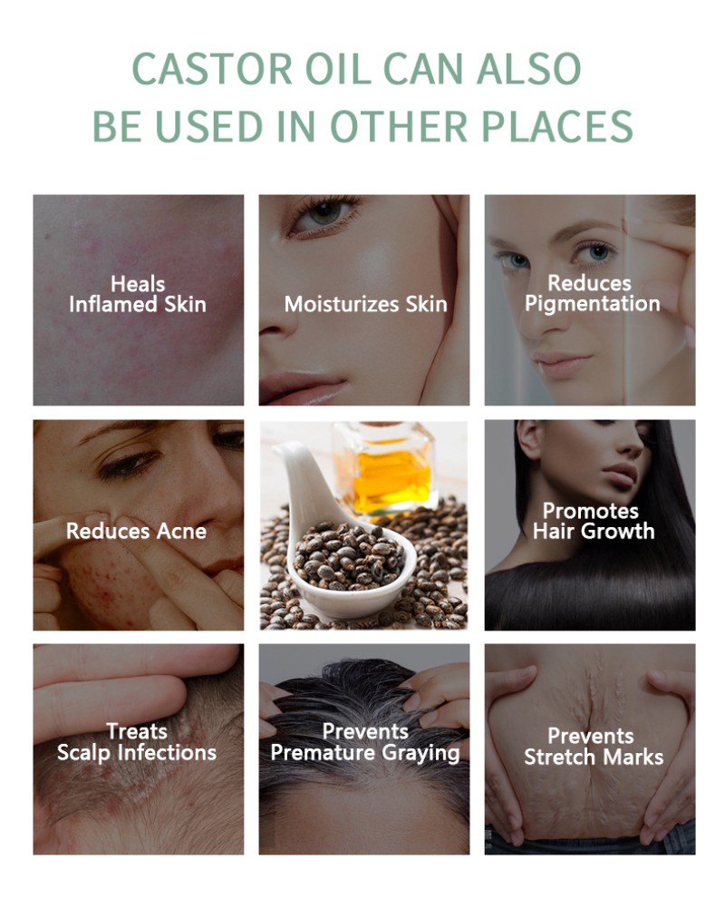 (Hàng Mới Về) Dầu Thầu Dầu Hữu Cơ Kích Thích Mọc Lông Mi / Lông Mày Pansly 30ml 100% | BigBuy360 - bigbuy360.vn