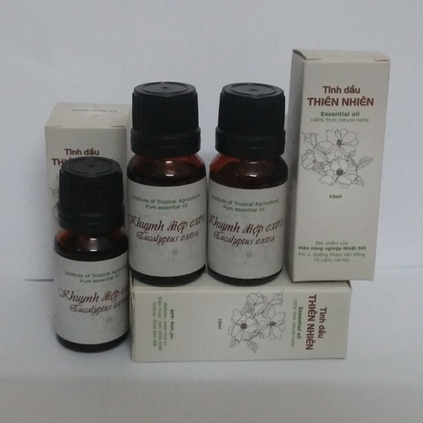 Tinh dầu khuynh diệp 10ml (Viện nông nghiệp nhiệt đới IAT)