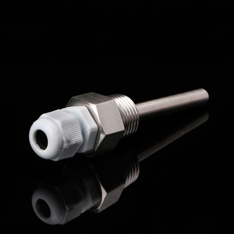 Bình Giữ Nhiệt Bằng Thép Không Gỉ 1 / 2-inch Có Nắp Nhựa Dành Cho Ủ Bia Tại Nhà