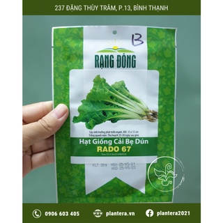 Hạt Giống Cải Bẹ Dún Rado 67 20G - Hạt Giống - Rau Ăn Lá
