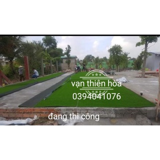 combo 10m thảm cỏ nhân tạo loại1 2cm