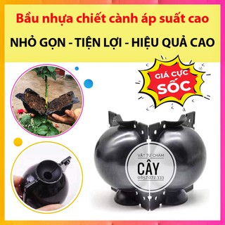 Bầu Chiết Cành Chuyên Dụng - Hàng Loại 1 - Tái Sử Dụng Được Nhiều Lần