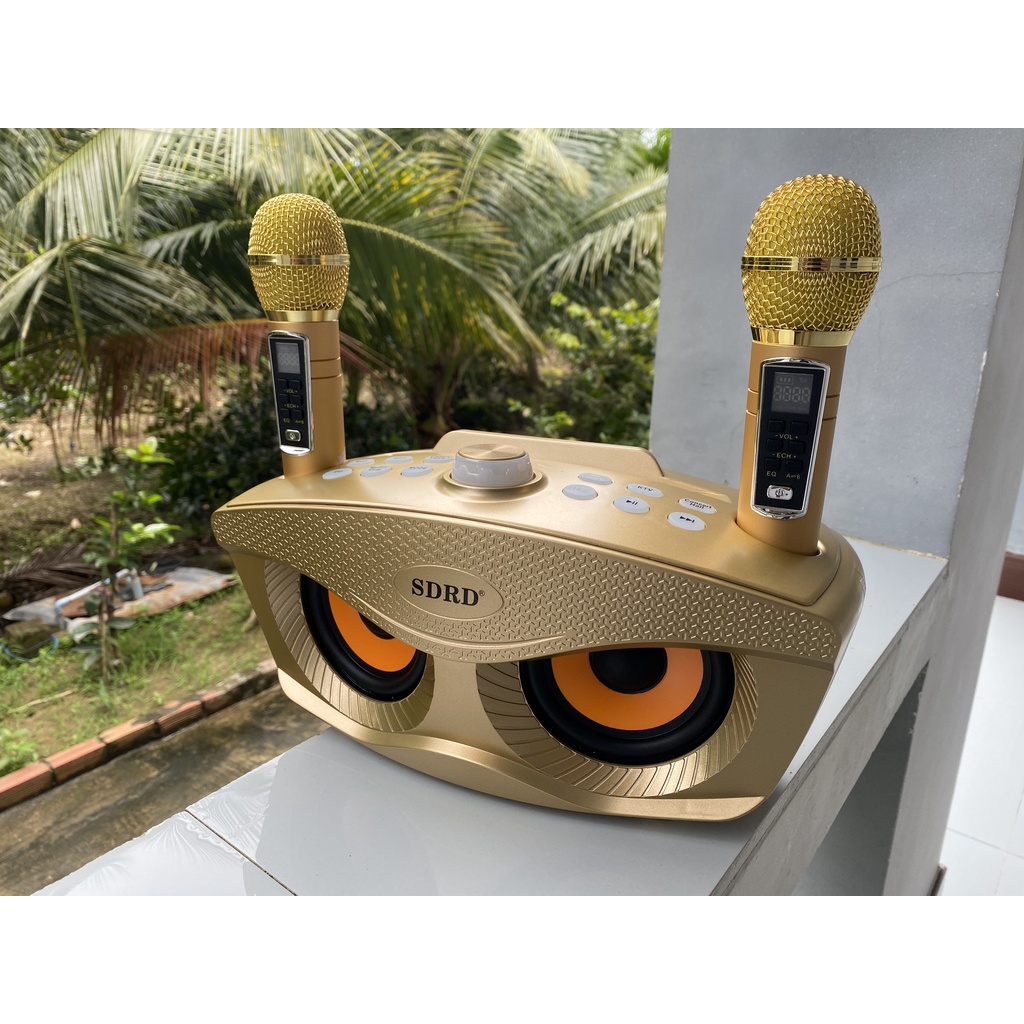LOA KARAOKE DI DỘNG SD-306 nhỏ nhưng có võ