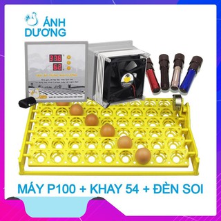 Máy ấp trứng mini Ánh Dương P100 kèm khay đảo tự động 54 trứng - kèm 2 món quà tặng, tự lắp ráp vào thùng xốp theo HD