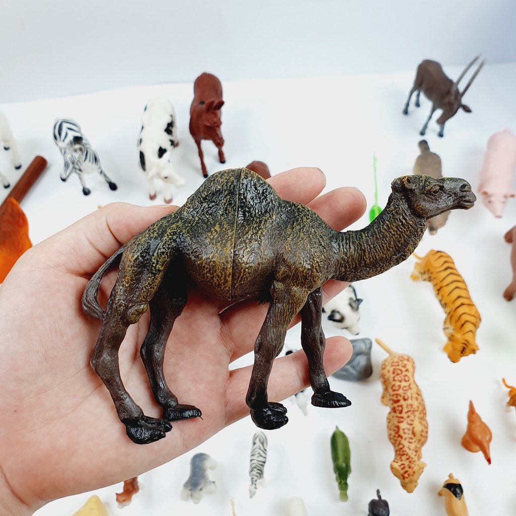 Bộ đồ chơi mô hình động vật 58 chi tiết thú rừng hoang dã RAMBO TOYS nhựa an toàn giúp bé nhận biết thế giới xung quanh
