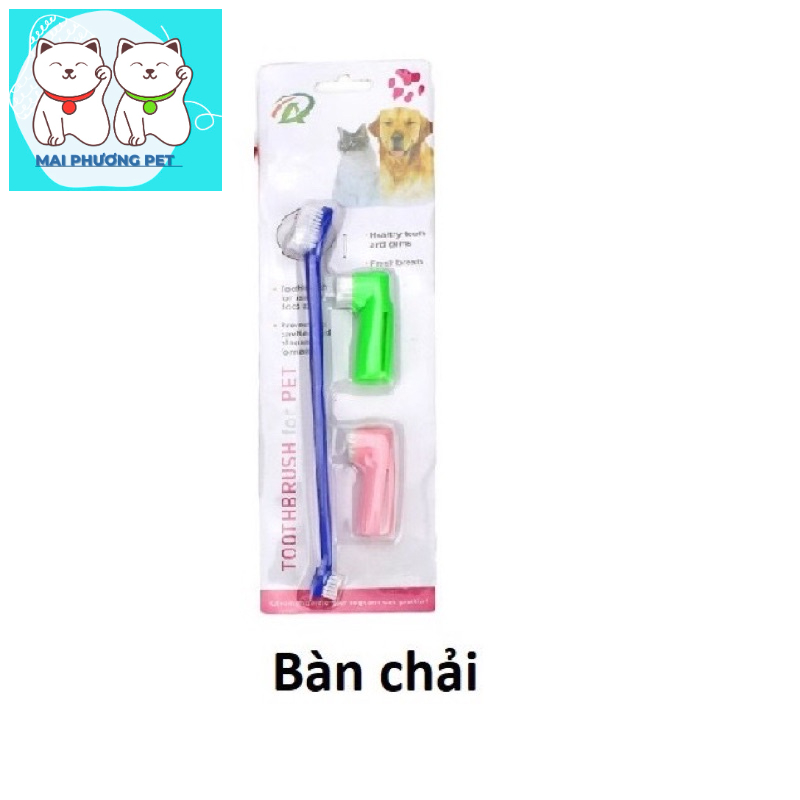 Bàn chải và kem đánh răng cho thú cưng giúp răng miệng thơm tho hết thối mồm