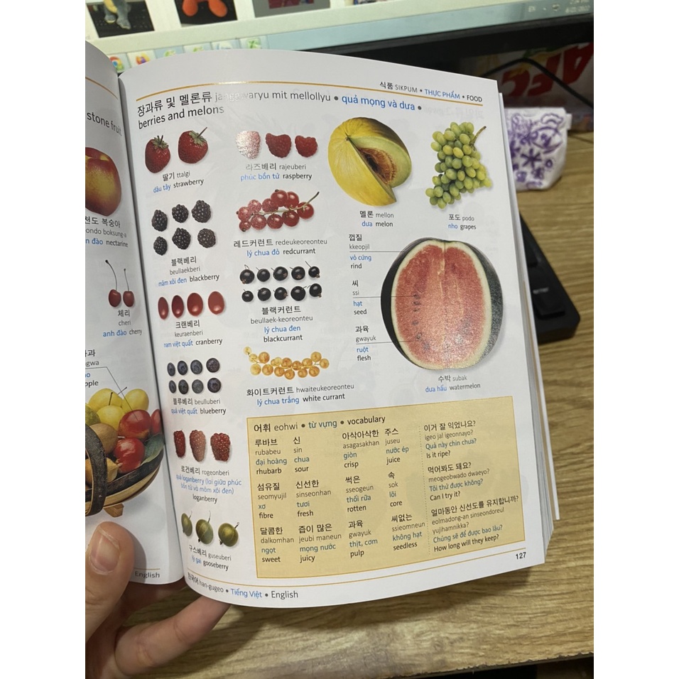 Sách  - Visual Korean Vietnamese English Trilingual Dictionary ( Từ Điển Hình Hàn - Việt - Anh )