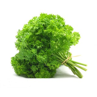 Hạt giống ngò tây 2gr