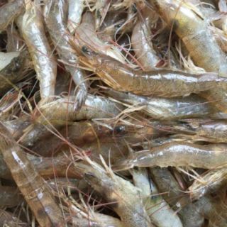 Mắm tép sông trộn đu đủ 500g