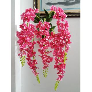 Giỏ hoa lan treo tường