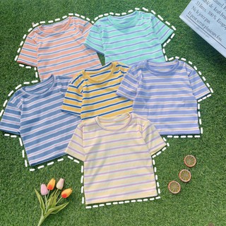 Áo thun sọc croptop ôm body