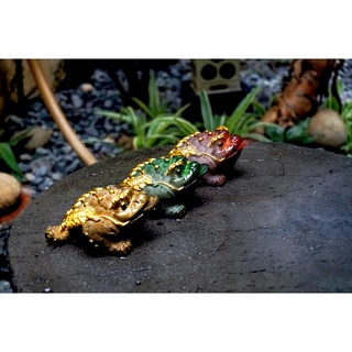 🐸🐸thiềm thừ đổi màu _cóc vàng ngậm tiền tài lộc🐸🐸