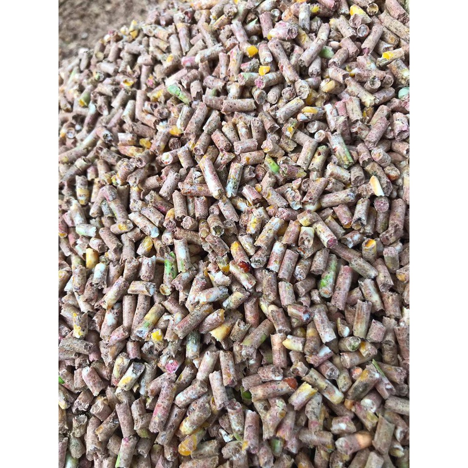 Ngũ cốc xay ép cám viên dành cho gà đá (1kg) - Pet Food Store.
