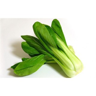Hạt Giống Cải Chíp (Cải Thìa) Cao Sản nhập khẩu-  chuyên dụng.