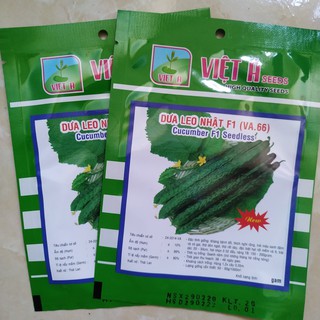 DƯA CHUỘT NHẬT HẠT LÉP F1