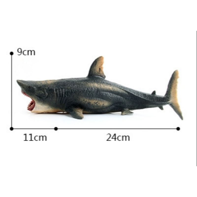 mô hình cá mập Megalodon