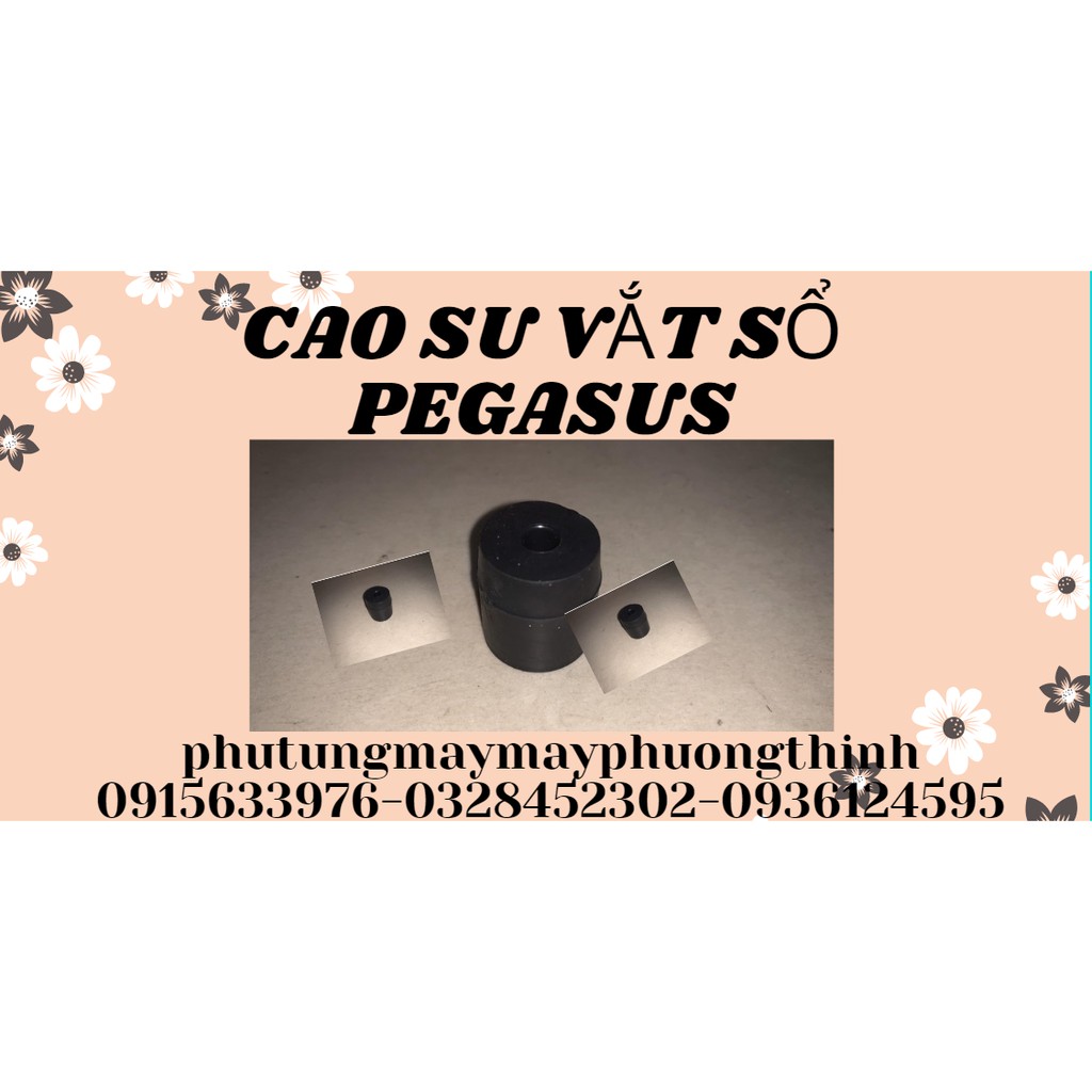 CAO SU VẮT SỔ PEGASUS