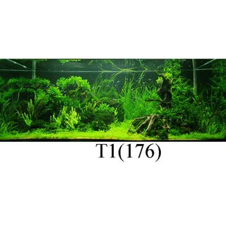 Tranh dán bể cá 3d nhiều kích thướt ( 60x40, 80x40, 80x50 , 90x50, 100x50...)