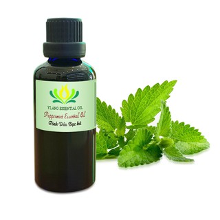 Tinh dầu Bạc Hà (Peppermint) - 10ml