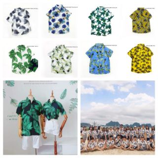 Áo size xl đại,3xl 82-108kg đi biển