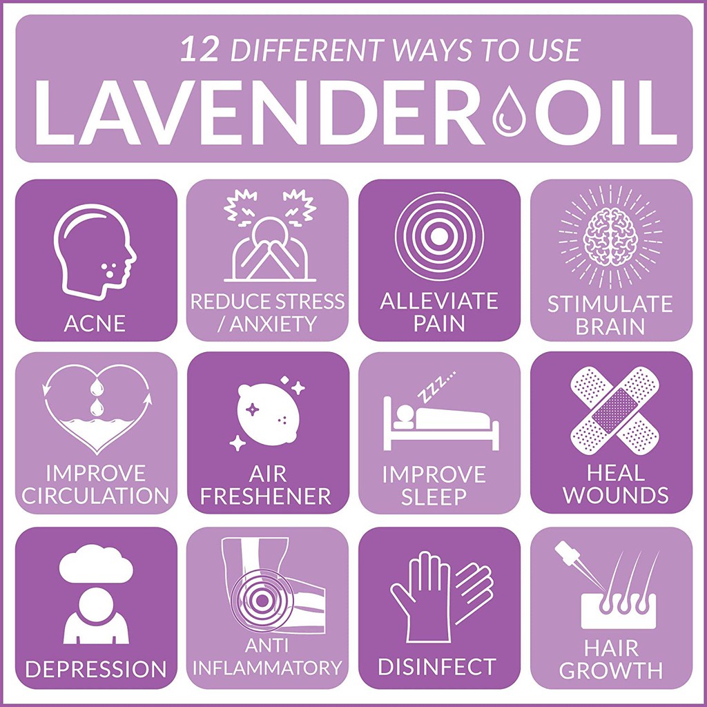 Tinh dầu Lavender Artnaturals USA, Tinh dầu oải hương Lavender, 10ml, xông hương, cải thiện giấc ngủ, giảm đau nhức