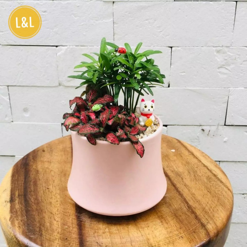Chậu sứ Bát Tràng Hình Đốt Trúc Thấp  trồng cây Để Bàn, Cây Nội Thất, Sen Đá, Xương rồng, Cây Bon sai