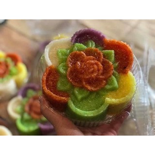 🌱🌱🌱 CÂY GIỐNG LÁ CẨM TÍM 🌱🌱🌱