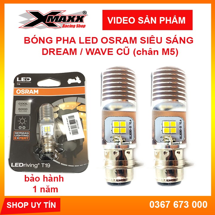 BÓNG PHA LED OSRAM DREAM/WAVE CHÂN M5 SIÊU SÁNG