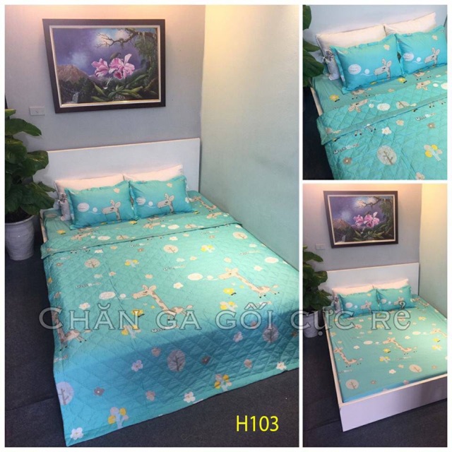 Set poly cotton