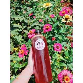 Combo 5 lít Mật ong nguyên chất