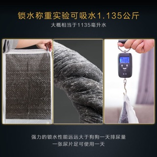 1 Miếng Lót Vệ Sinh Than Hoạt Tính