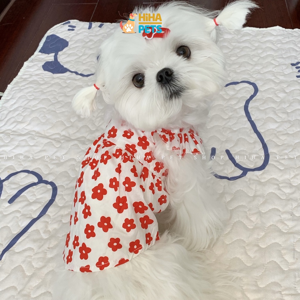 Váy Áo Cho Chó Mèo Thời Trang Hàn Quốc Quần Áo Thú Cưng Thiết Kế Dễ Thương Mùa Hè Hihapet.